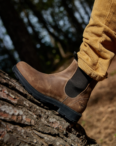 Docksteps store 2025